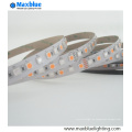 Best Selling SMD5050 RGBW LED Streifen Licht